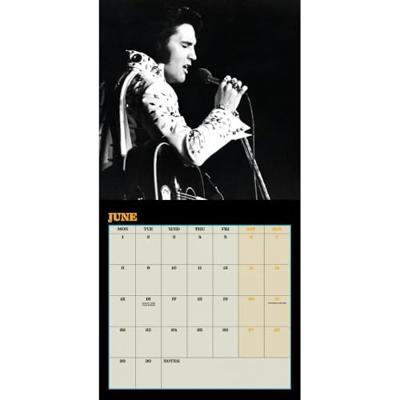 ELVIS 2026 COLLECTOR'S EDITION RECORD SLEEVE CALENDAR