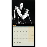 Elvis Presley Kalender 2026 Coll Edition - thumbnail