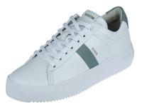 Blackstone Ryder - thumbnail