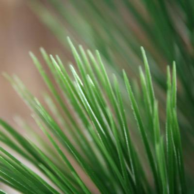 Pinus kunsttak 65cm UV bestendig