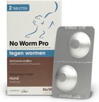 Exil No worm pro hond M 2 Stuks - thumbnail