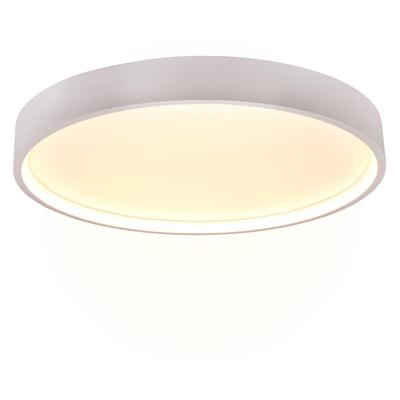 Trion Dile LED Plafondlamp 29W - Aanpasbare Lichtkleur - Mat Wit
