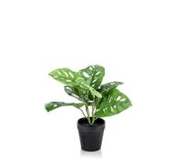 Monstera monkey bush green 30 cm kunstbloem zijde nepbloem Emerald - Emerald - thumbnail