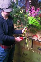 Felco 300 oogstschaar - thumbnail