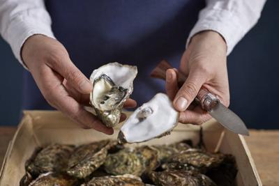 OPINEL - N.9 - Oestermes Padoukhout OPINEL - N.9 - Oestermes Padoukhout