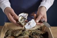 OPINEL - N.9 - Oestermes Padoukhout - thumbnail