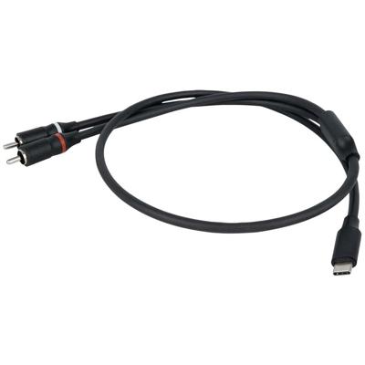 DAP FL110 verloopkabel USB-C naar 2x RCA male 75cm
