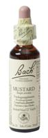 Bach Flower Remedies Herik 21 - thumbnail