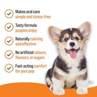 Tandpasta Planet Line (50 g) - thumbnail