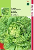 Zaden Kropsla Zwart-Duits Hortitops - Hortitops - thumbnail