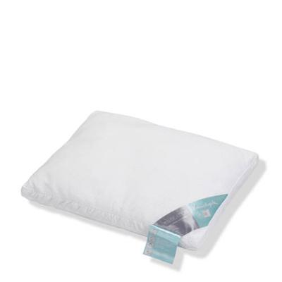 Vandyck Ventilation hoofdkussen