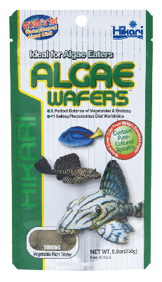 Algae Wafers 250 Gr vissenvoer Hikari - Hikari