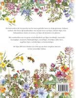 Rebo Publishers Bijen boek met 5 hoofdstukken - thumbnail