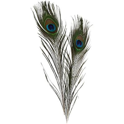 Creativ Company Pauwenveren, l: 25-30 cm, 10 stuk/ 1 doos - thumbnail