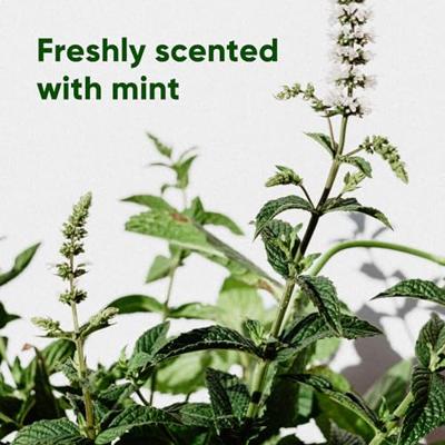 Beco Bags Poepzakjes Mint - 60 stuks 3 verpakkingen