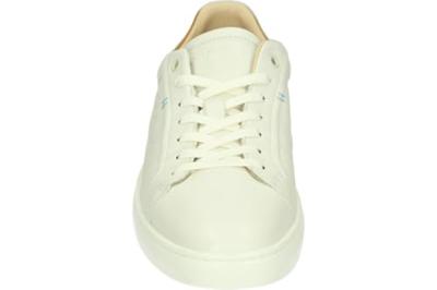 Greve 2125.02 - alle