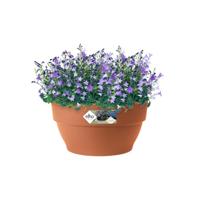 Elho Vibia Campana schaal rond 34 cm terra - thumbnail