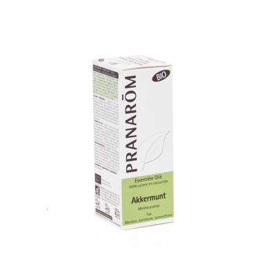 Pranarôm Essentiële Olie Munt Bio 10ml