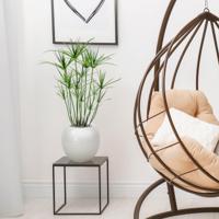 Papyrus kunstplant 65cm - thumbnail