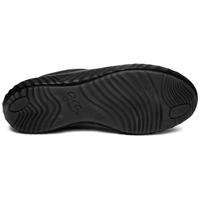 Ara 1213640 - alle - thumbnail