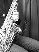 Prodipe SB21 Lanen microfoon voor sax, koper en percussie - thumbnail