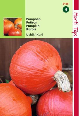 Zaden Pompoenen Oranje Zon Hortitops - Hortitops