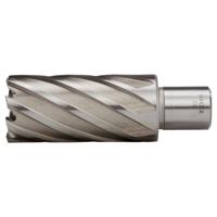 Makita HB30L | Kernboor HSS 30x50mm | Weldon - thumbnail