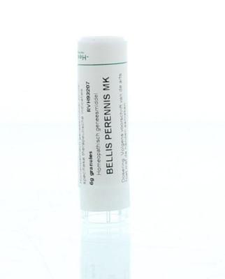 Homeoden Heel Bellis perennis MK 6 Gram