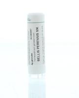Homeoden Heel Bellis perennis MK 6 Gram - thumbnail