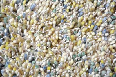 Brink en Campman - Young 61807 - 140x200 cm Vloerkleed Brink en Campman - Young 61807 - 140x200 cm Vloerkleed