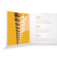 D&apos;Addario XSABR1256 12-56 Light Top Med Bottom XS 80/20 Bronze Coated snaren voor westerngitaar - thumbnail