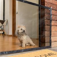 Veiligheidsnet voor huisdieren Petinu InnovaGoods - thumbnail