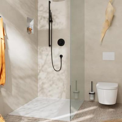 Hansgrohe Addstoris closetborstelgarnituur mat zwart 41752670 - thumbnail