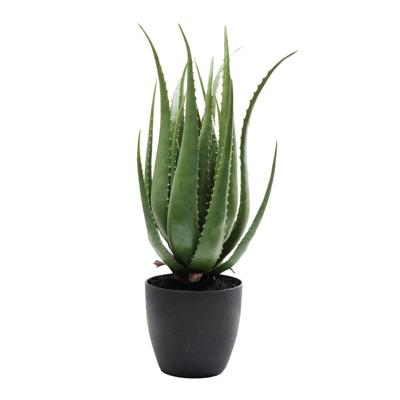 Kare Design Kunstplant Aloe Kare Design Kunstplant Aloe