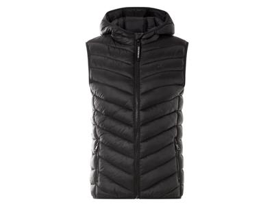 esmara Dames gewatteerd vest (Zwart, M (40/42))