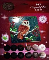 Jonotoys Diamond painting - kerstkaart met kerkuil bij maanlicht - thumbnail