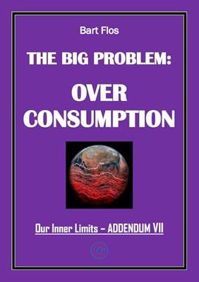 The Big Problem: Overconsumption - Bart Flos - ebook
