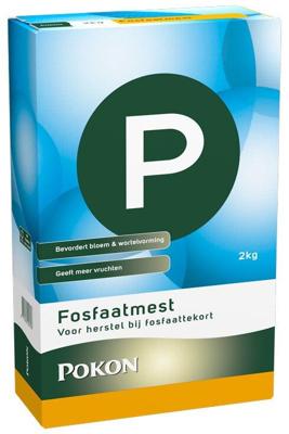 Pokon Fosfaatmest 2kg