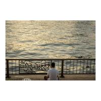 Sigma 56mm F/1.4 DC DN Contemporary MFT - thumbnail