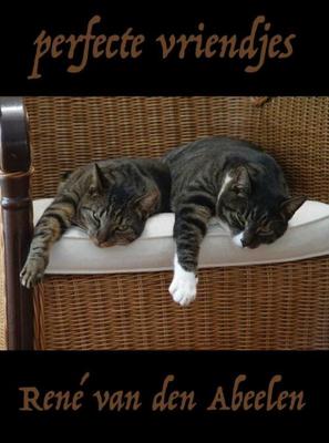 Perfecte vriendjes - René van den Abeelen - ebook
