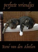 Perfecte vriendjes - René van den Abeelen - ebook - thumbnail