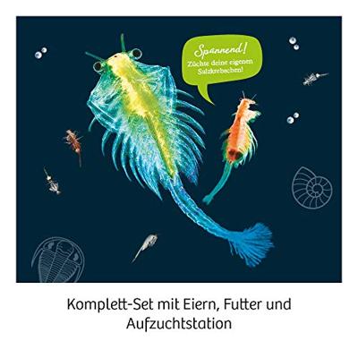 Kosmos pekelkreeftjes kweken - thumbnail