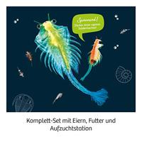 Kosmos pekelkreeftjes kweken - thumbnail
