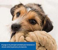 TRIXIE DOG DISC KUNSTSTOF GESCHIKT VOOR WEDSTRIJDEN ASSORTI 19X19X19 CM 3 ST - thumbnail