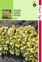 Zaden Postelein Breedbladige Gele Hortitops - Hortitops - thumbnail