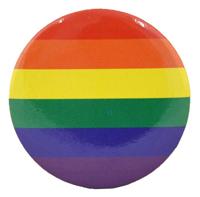 Pride Party gekleurde vlag vormige ontworpen badge, 3,9 cm x 3,9 cm, Eén maat, Metaal - thumbnail