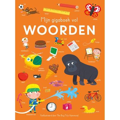 Rebo Publishers Mijn gigaboek vol woorden