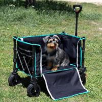 Multifunctionele kar Aktive Staal - thumbnail