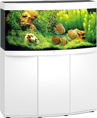 Juwel aquarium Vision 260 LED met filter wit Juwel Gebr. de Boon - Gebr de boon Juwel aquarium Vision 260 LED met filter wit Juwel Gebr. de Boon - Gebr de boon