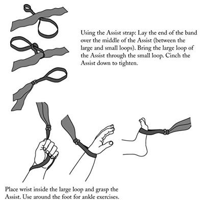 Theraband Assist, per stuk Theraband Assist, per stuk
